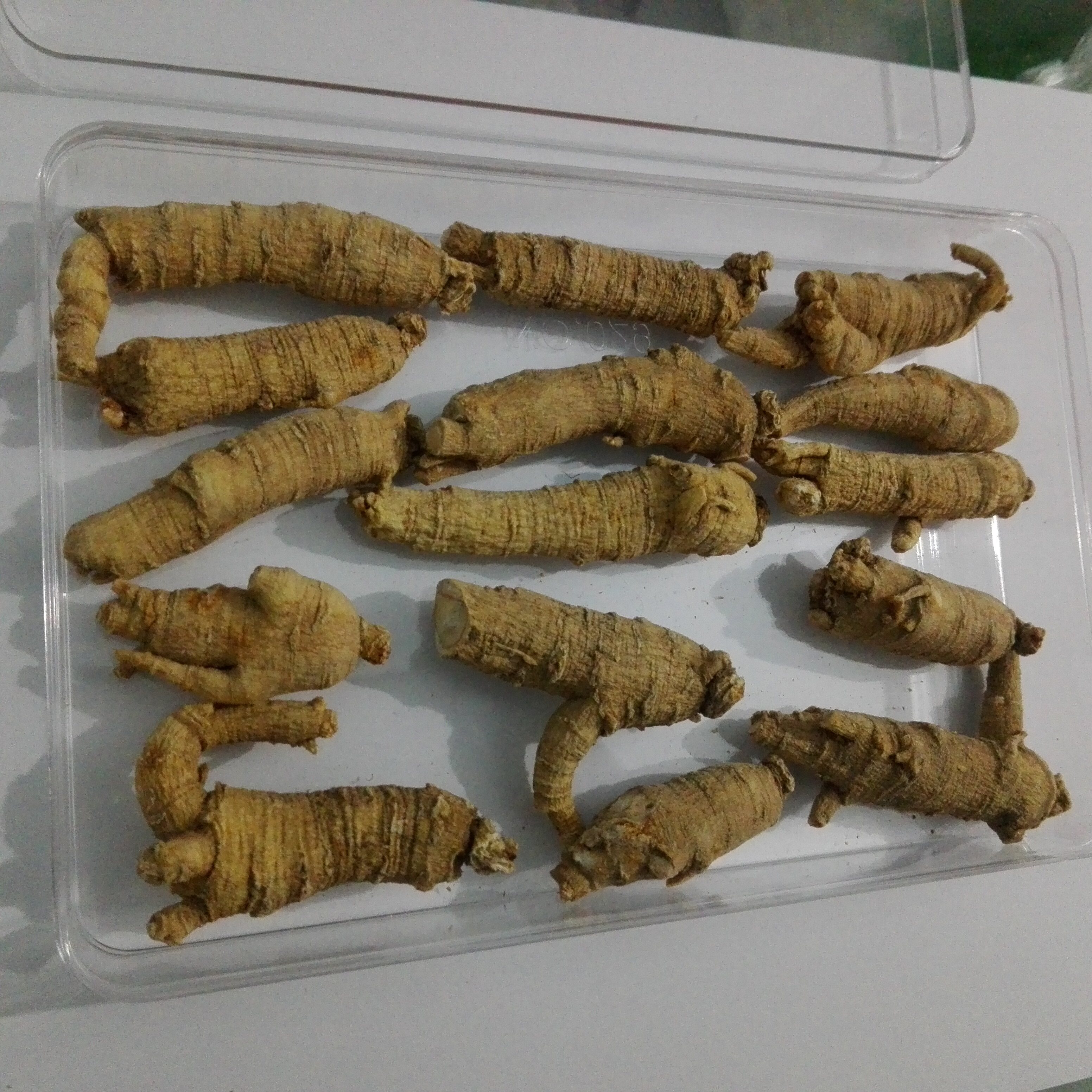 半野生西洋参260克参段枝支自家山地自然生长带礼盒9年参