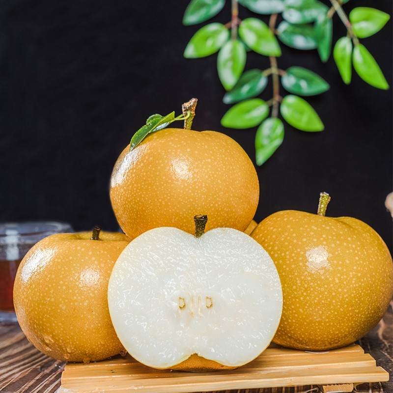 正宗冰糖秋月梨礼盒装新鲜水果日本引种千玥梨