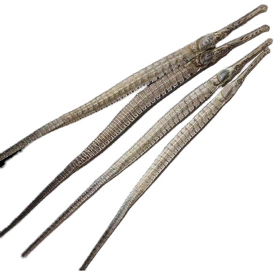 广东汕头南澳特产海龙水产干货煲汤中药材泡酒材料食用60条100g其它