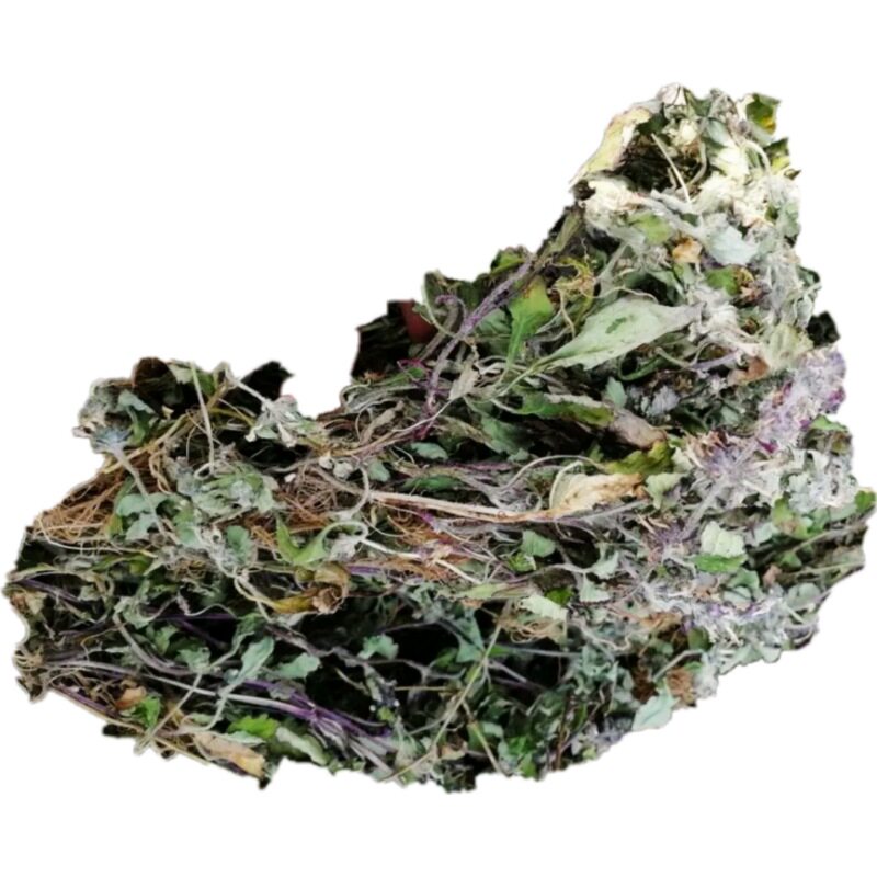 贵州省包邮筋骨血丹草破散血中草药500克野生枯草传统滋补品其他