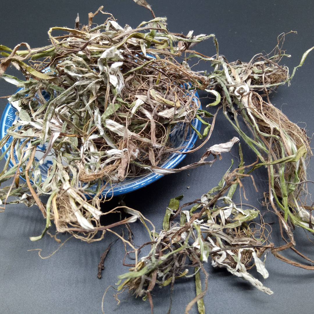贵州省野生天青地白草250克包邮中草药细叶鼠曲下白其他药食同源食品
