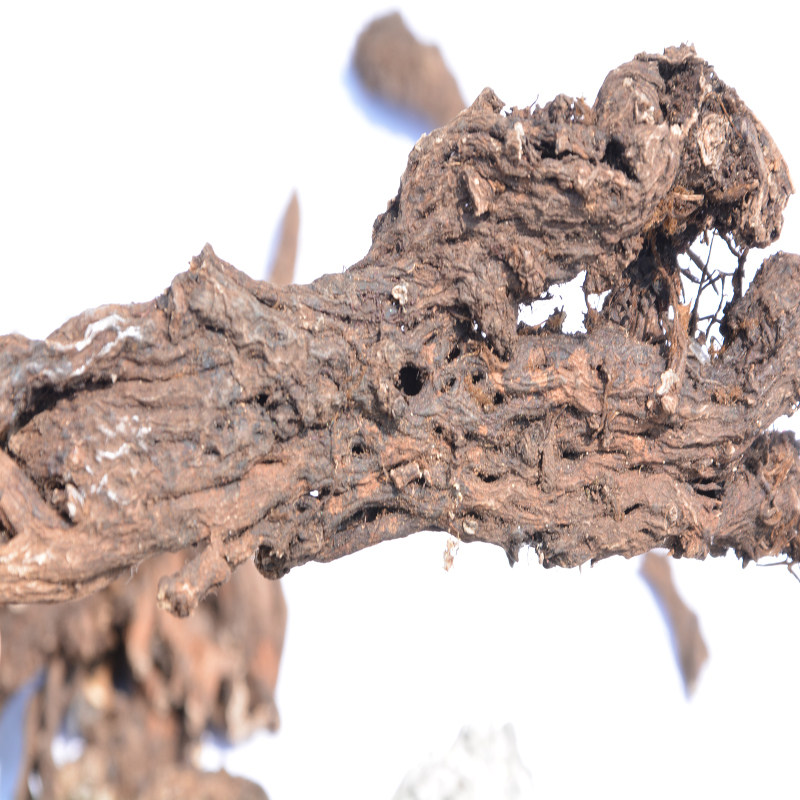 贵州省野生麻布七中草药药材川心莲破骨统天网子传统滋补品其他