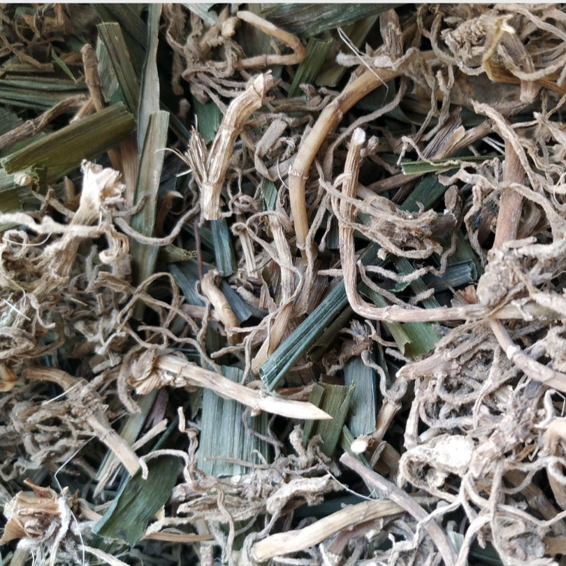 观音500克包邮贵州省野生中药材吉祥草玉带小叶万年青其他药食同源