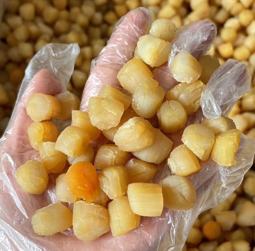 大干干贝瑶柱汕头南澳特产干货干净无过过年干贝