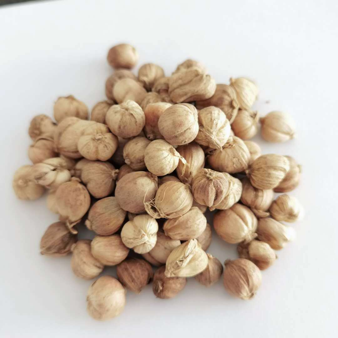 白蔻豆蔻500g纯无硫白豆叩香料卤料调味料另售花椒