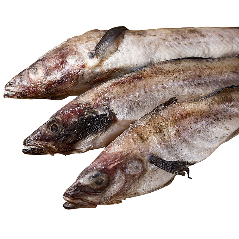 延边特产冷冻新鲜明太鱼 鳕鱼 狭鳕鱼明太鱼新鲜大棒鱼柴鱼 5斤装
