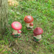 Garden gardening cotton landscape ornament creative home lawn flowerpot resin craft simulation mushroom decoration Garden gardening cotton landscape ornament creative home lawn flowerpot resin craft simulation mushroom decoration