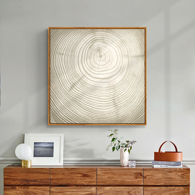 回到山中北欧原木风装饰画客厅背景墙挂画抽象年轮现代装饰画