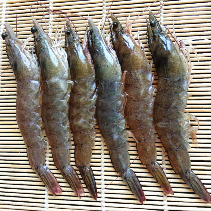 鲜活海鲜水产青岛大虾超大基围青虾鲜虾海虾活虾