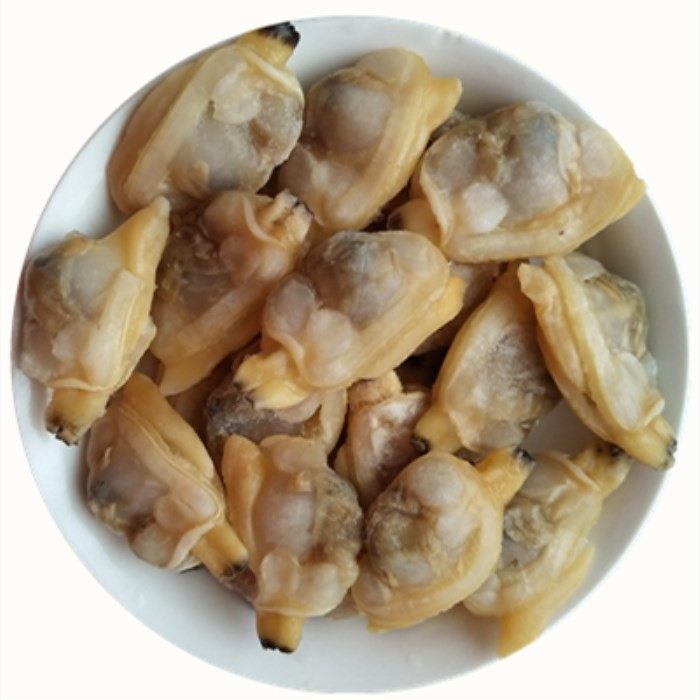 新鲜单冻蛤蜊肉蛤蜊野生海鲜现剥花蛤肉蚬肉鲜扇贝