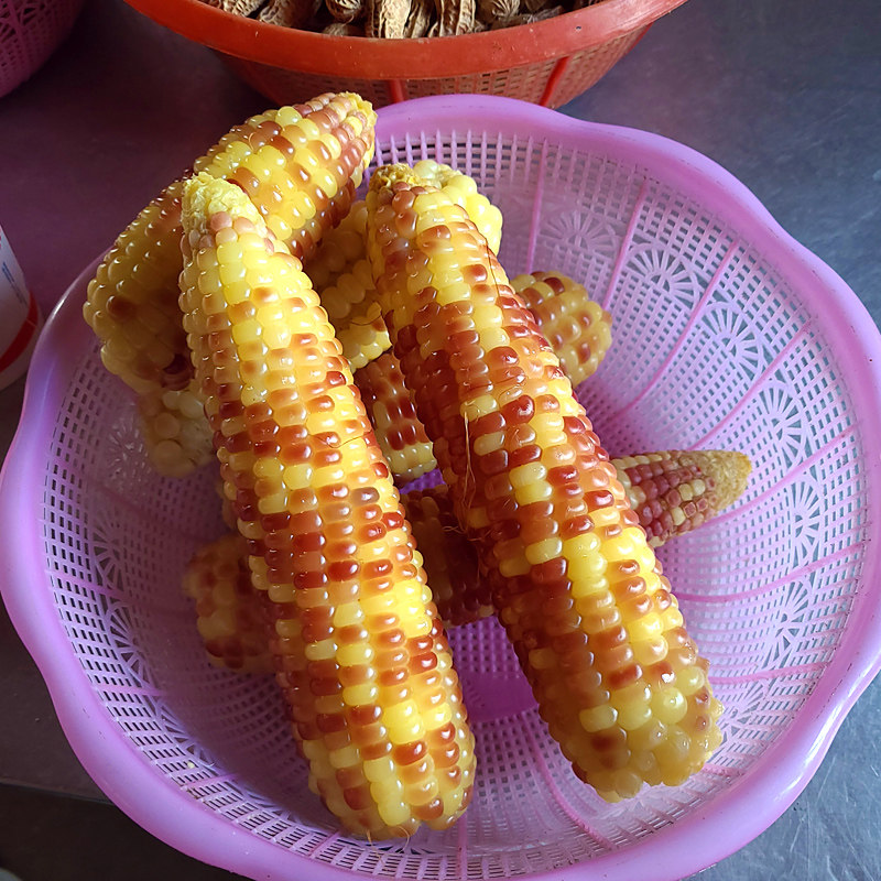云南小糯玉米2斤散装装小包谷甜香糯花玉米棒玉米