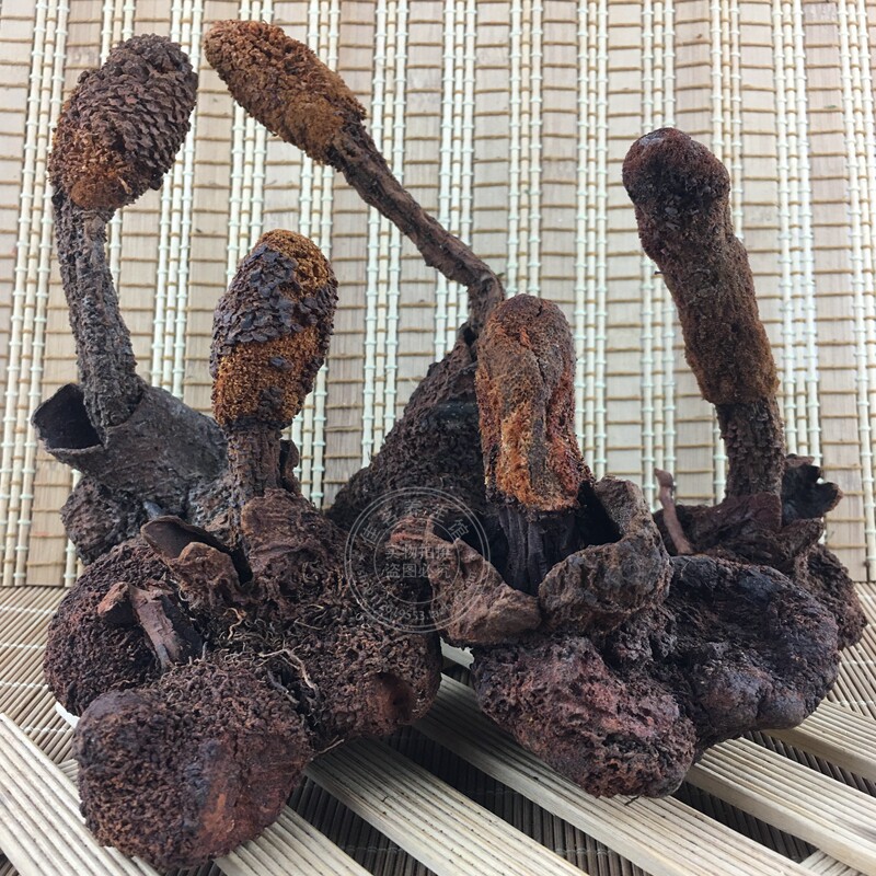 锁阳500克云南野生顶天天柱续阳不老草泡煲汤传统滋补品其他