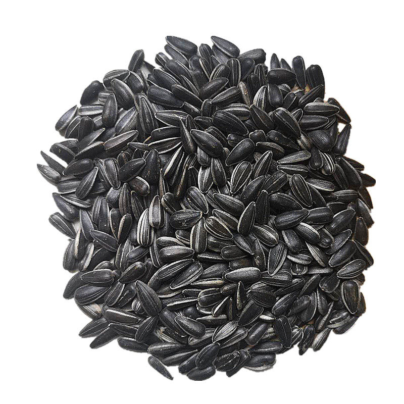 油葵小颗粒散装瓜子2019新货小瓜子黑珍珠葵瓜子小包装葵花籽包邮