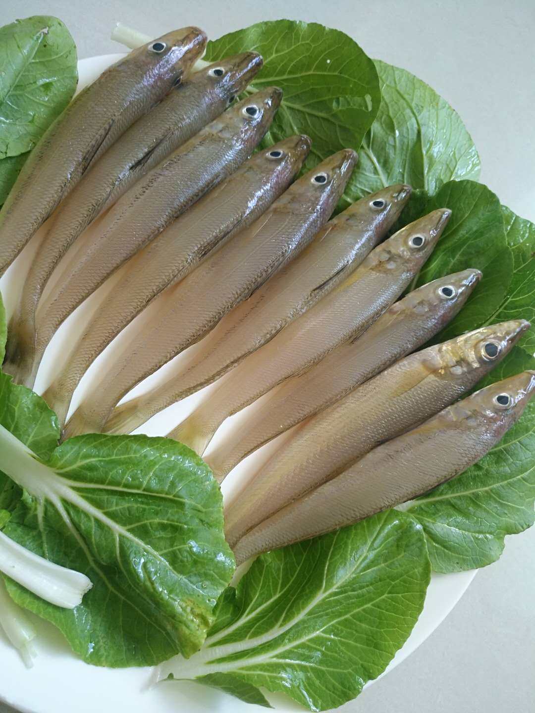 沙尖鱼新鲜深海鱼野生沙丁鱼新鲜鱼2500g海鲜水产冷冻