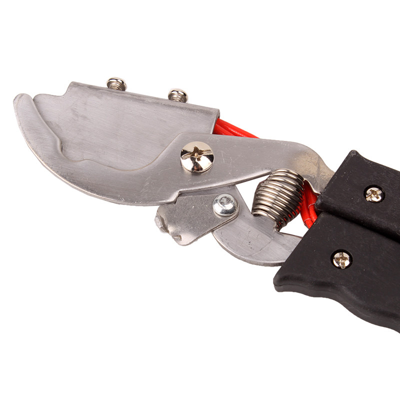 猪博士电热断尾钳猪用 仔猪小猪剪尾钳断尾器 兽用养殖设备