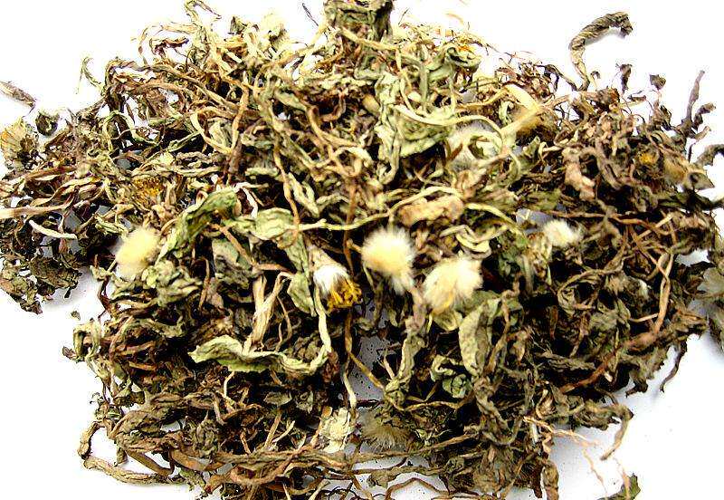 蒲公英 6件包邮 干货 蒲公英花 野生婆婆丁 中药材 500g克7元