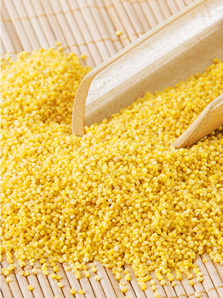 小米九谷礼品送礼袋装米布月子新小米田园食用其它粮食