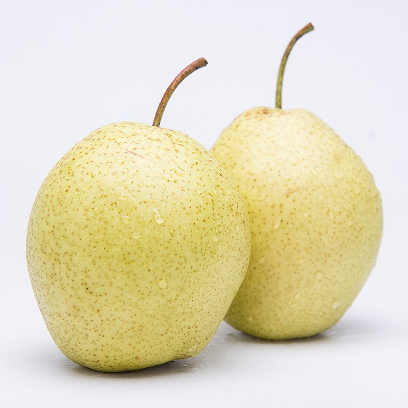 正宗赵州雪梨赵县雪花梨5斤包邮 新鲜水果梨子 河北皇冠梨 大鸭梨