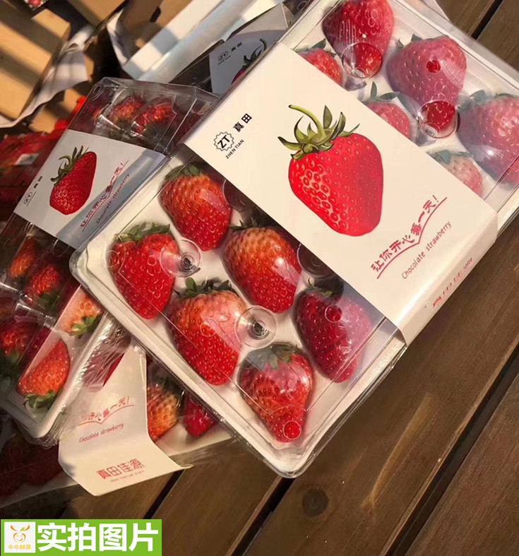 丹东红颜奶油草莓新鲜应当当季孕妇水果盒装草莓