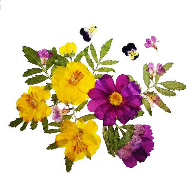 押花学生情人节七夕贺卡手工亲子减压益智贴画干花