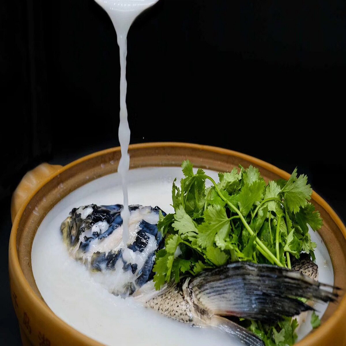 千岛湖活鱼胖头鱼鳙包头鱼花大头鲜活野生特产淡水鱼类
