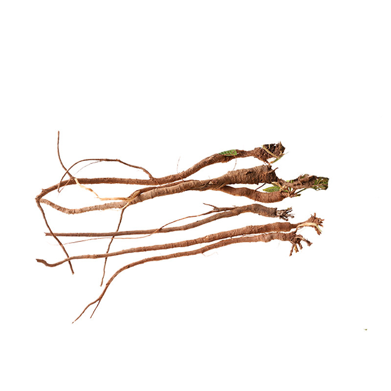 地榆根野生新鲜药材无硫500g黄爪香山地瓜山枣子其他药食同源食品