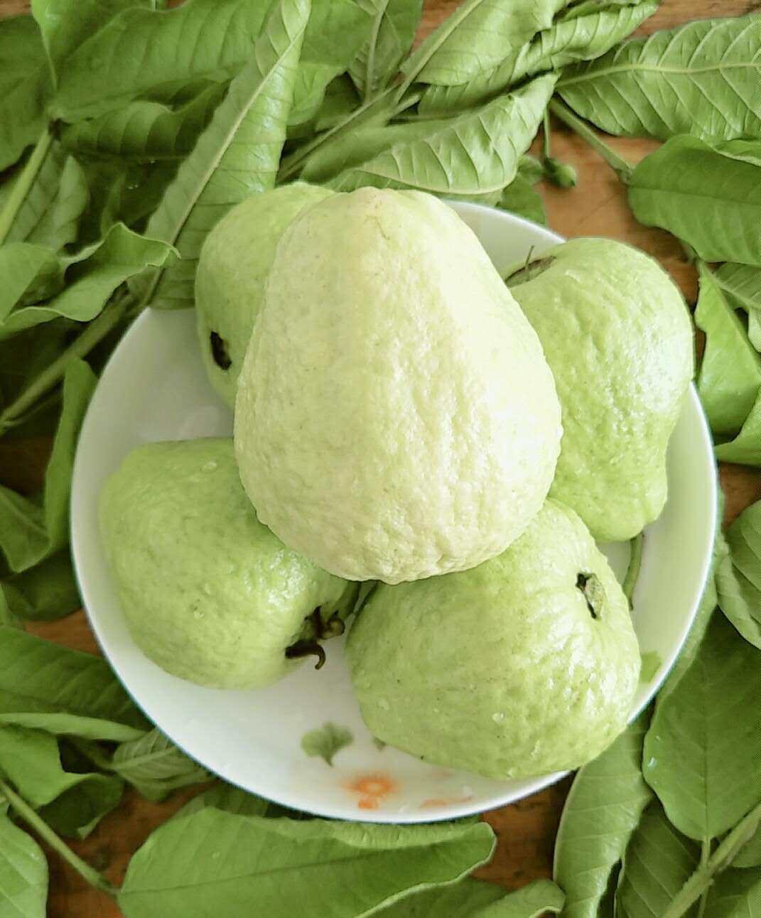 5斤包邮白心芭番石榴现摘现发新鲜水果赠送酸梅芭乐