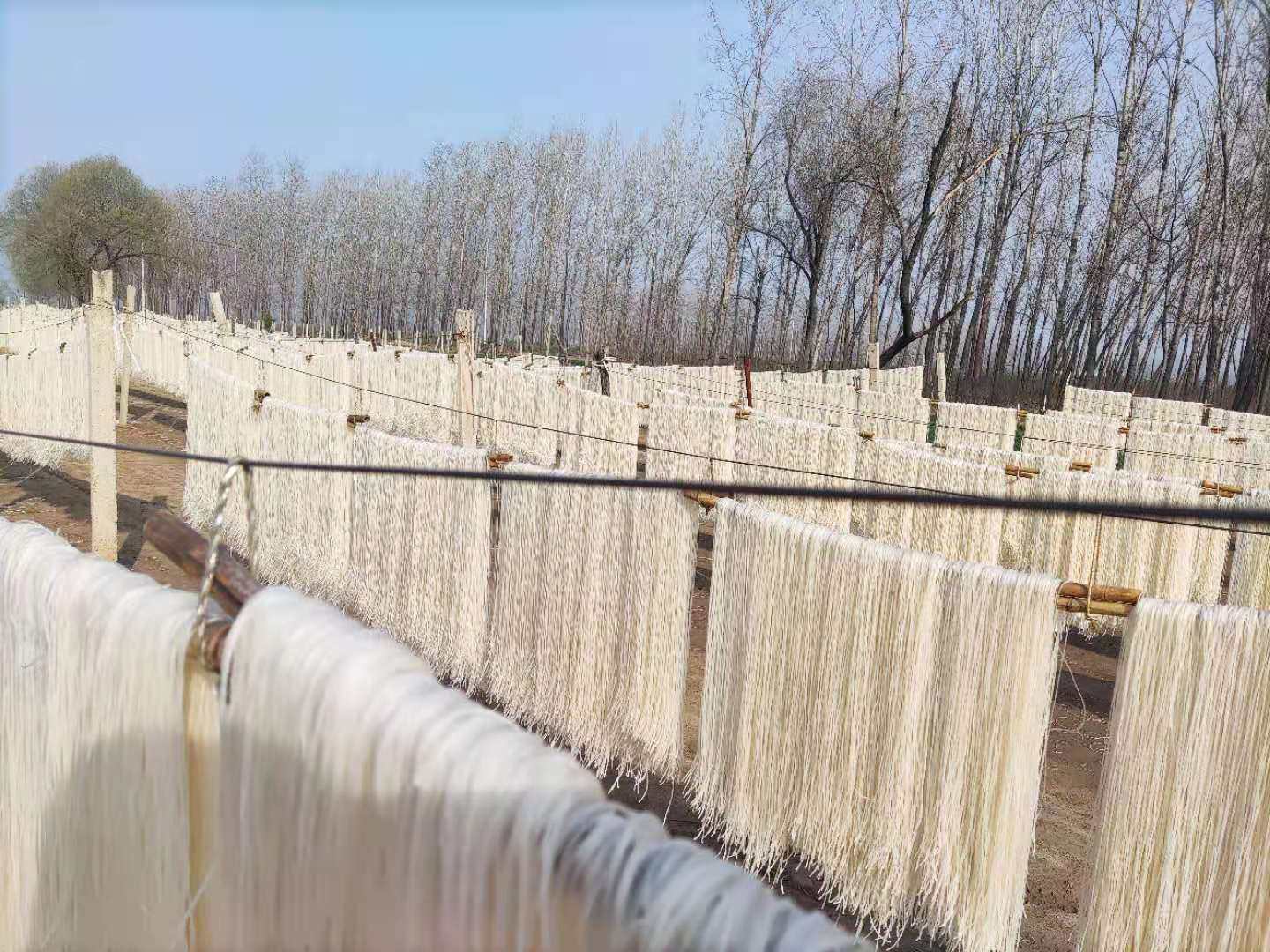 山药铁棍粉条手工农家正宗陈集火锅麻辣烫粉丝其它干货