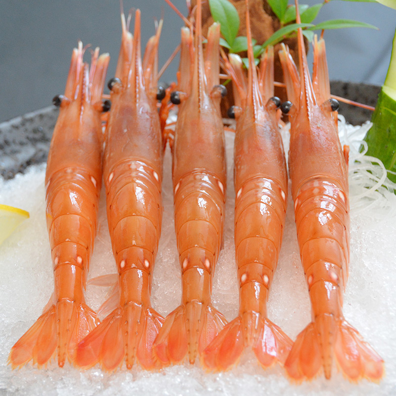 加拿大牡丹虾 特大鲜活刺身即食寿司食材日本料理 20