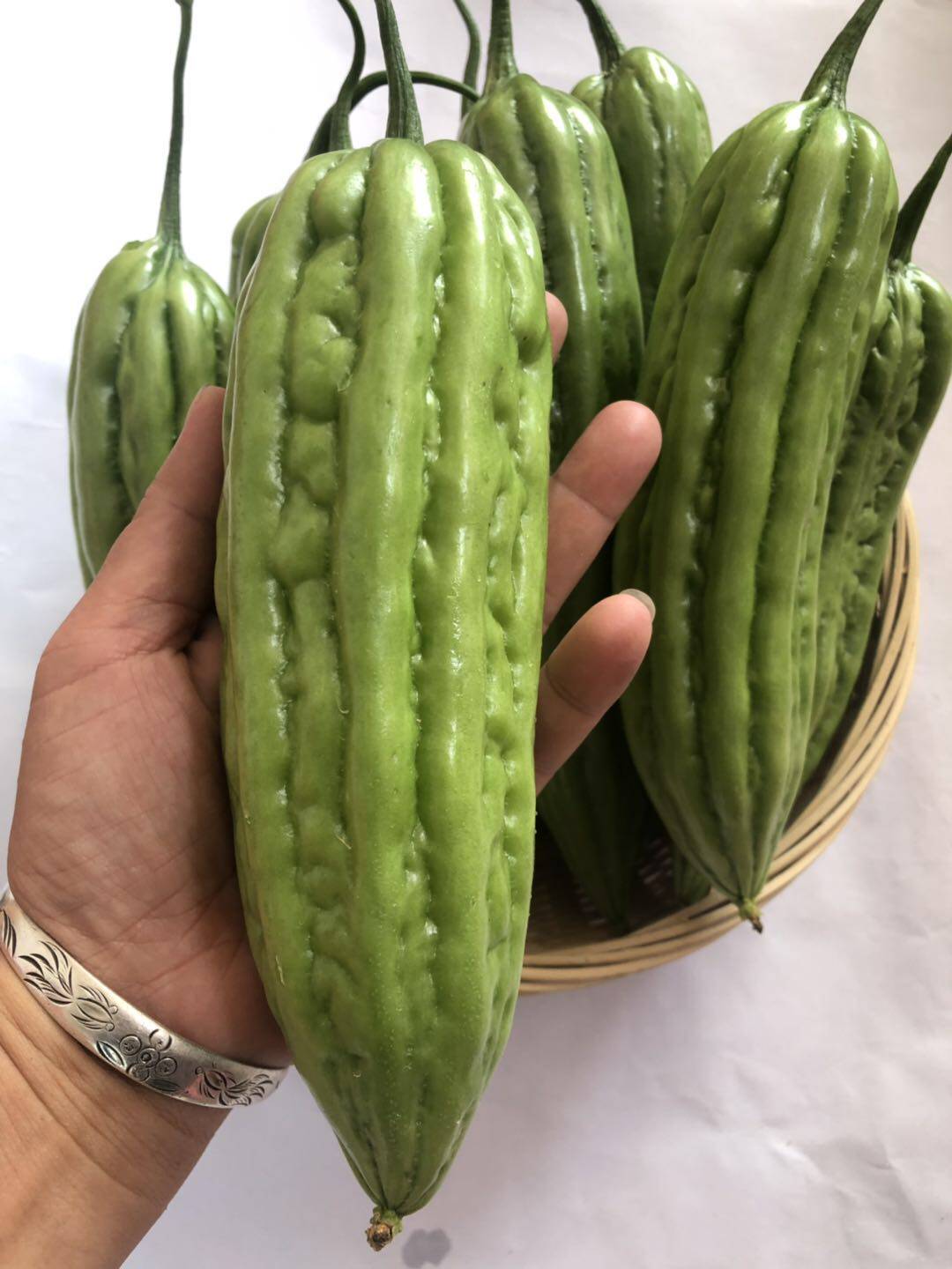 广东蕉岭苦瓜 农家肥露天种 新鲜现摘现发当季蔬菜凉瓜 5斤包邮
