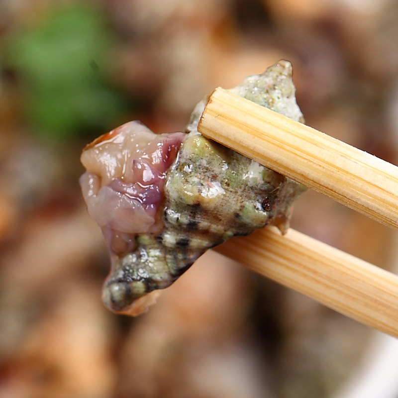 醉辣螺 整个带壳 舟山特产嵊泗 螺酱螺浆原汁辣螺酱宁波海鲜特产