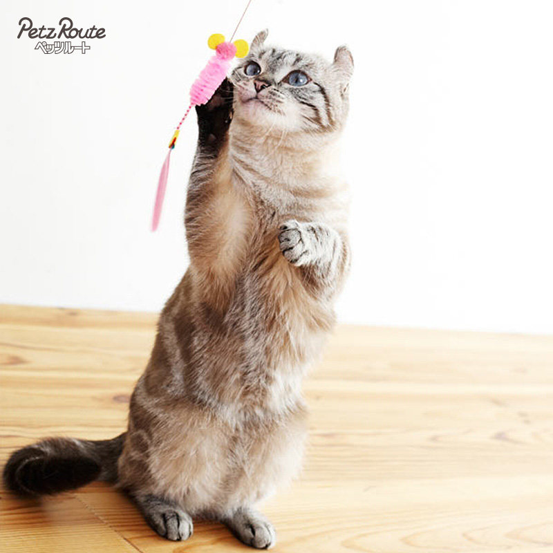 派滋露进口蜻蜓逗猫棒哗啦啦长杆钓鱼蓝猫布偶猫逗猫棒