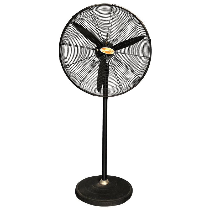 金羚电风扇落地扇fs-50c65c75c强力牛角工业30寸电风扇