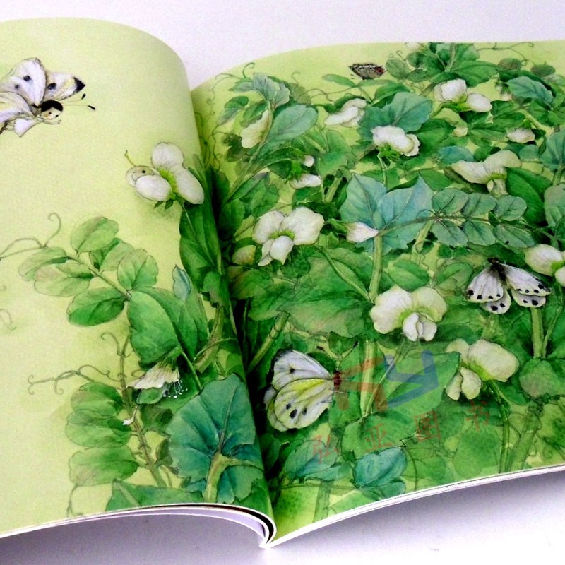 蝴蝶书一教辅图书绘本少儿课外阅读小学生童话金波儿童文学