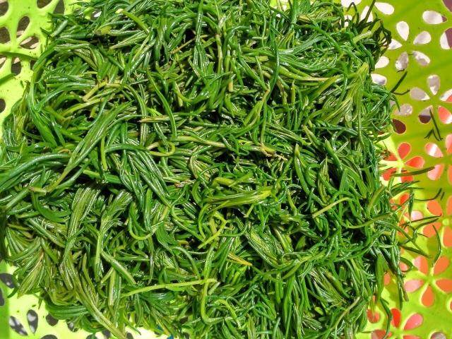 真空包装黄须菜 皇席菜黄净菜盐地碱蓬菜拆包后根据自己口味凉拌