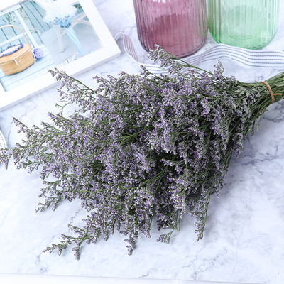 干花情人草天然风干真花家居花束客厅装饰插花摆设小清晰ins