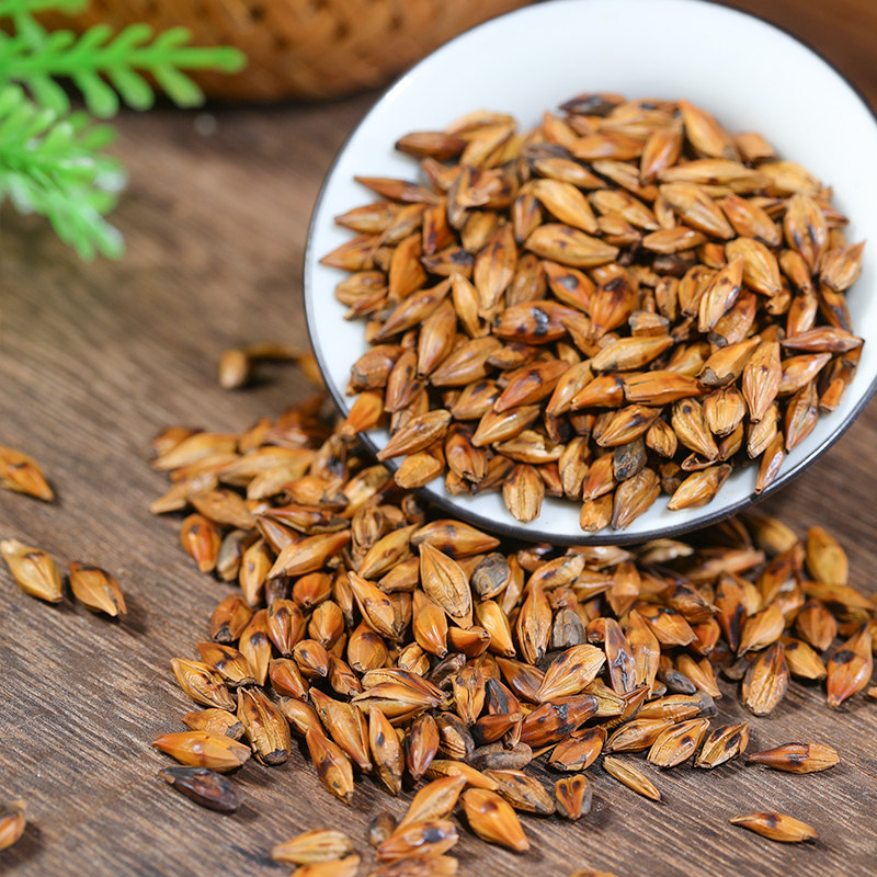 大麦麦茶养胃麦粒饭店专用正品瓶装官方旗舰店日本代用