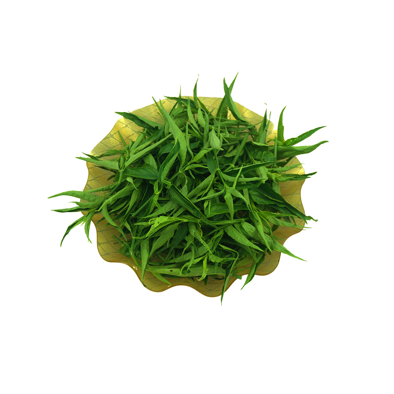 海南五指山黎王草忧遁草小尖叶鲜叶优盾绿植