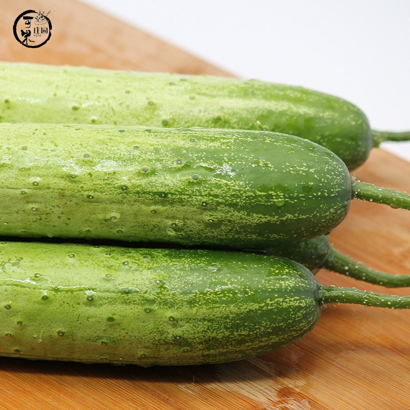 黄瓜云南白玉5斤本地水果小黄瓜新鲜小青瓜时令黄瓜