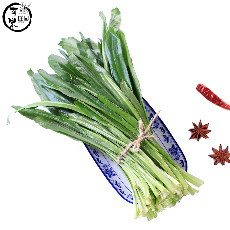 刺芫云南南大芫荽傣味新鲜香菜荽缅假元西刺叶菜类