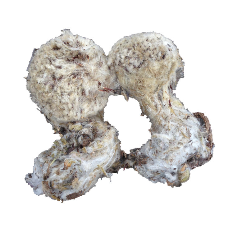 西藏特产雪莲花野生雪莲根雪莲子藏雪莲泡酒料滋补药材250克包邮