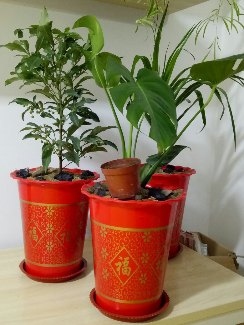 大号福字花盆塑料加厚加深高筒落地阳台虎皮花盆