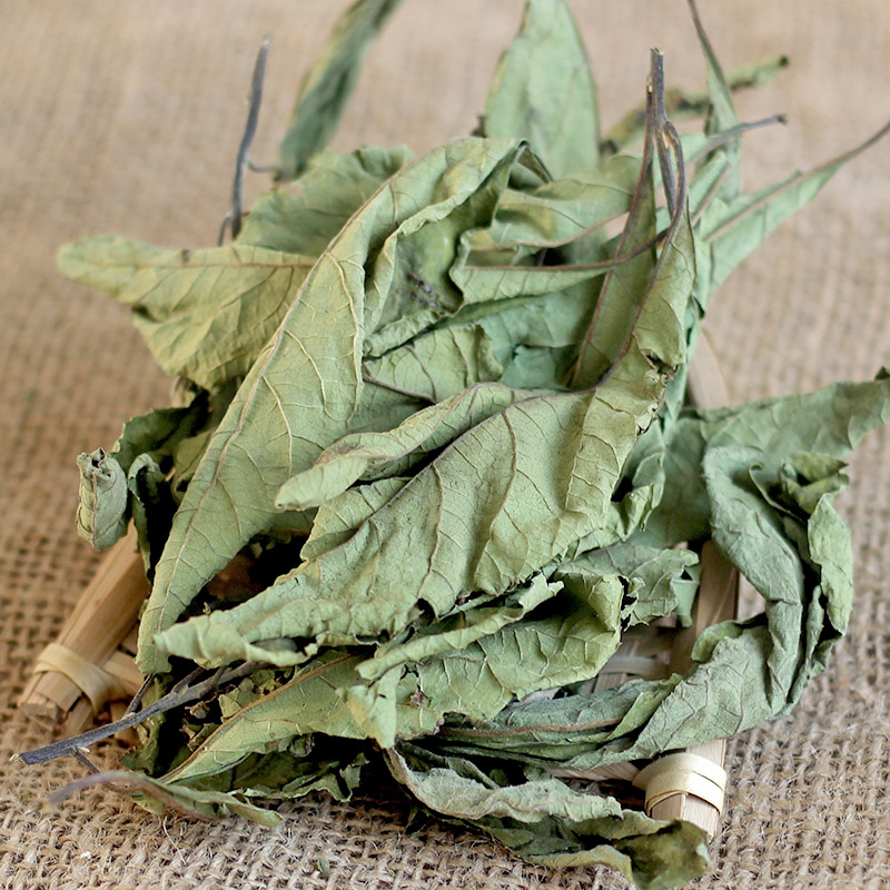 南非正品新鲜晒干中药材叶茶干叶将军叶花茶花茶其他药食同源食品