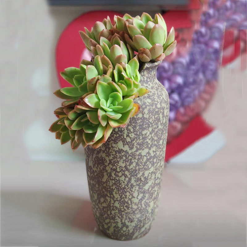 a11a景德镇多肉异形切口缺口破口老桩法师复古花盆