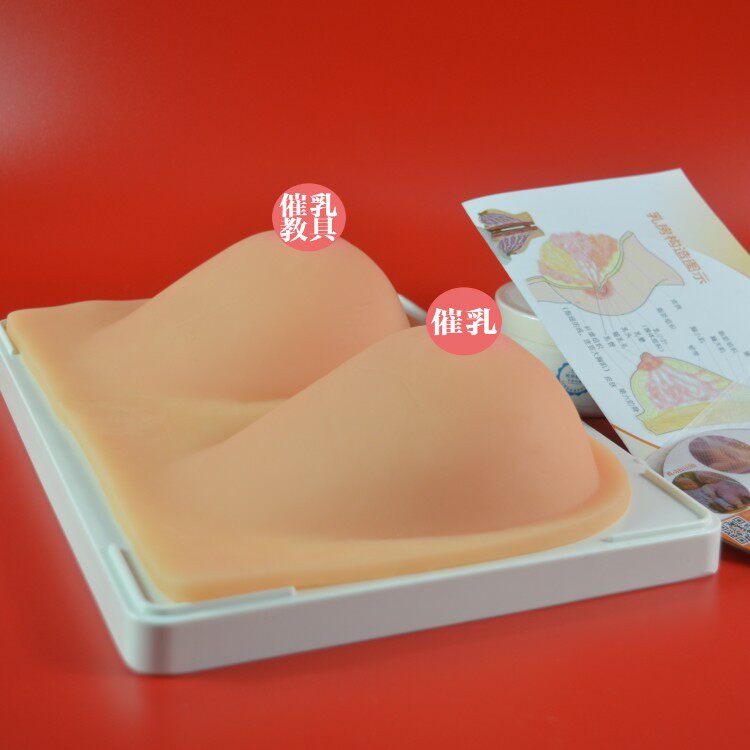 催乳师培训教具纯硅胶乳房模型 高级仿真女性假乳房 母乳哺乳教学