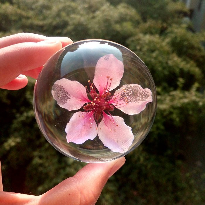 三生三世桃花永生花标本情人节创意浪漫生日礼物diy摆件