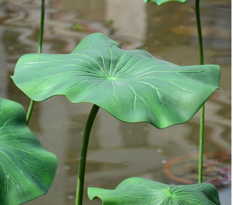 带杆荷叶 长枝舞蹈道具 池塘水池装饰 高仿真荷叶 可造型