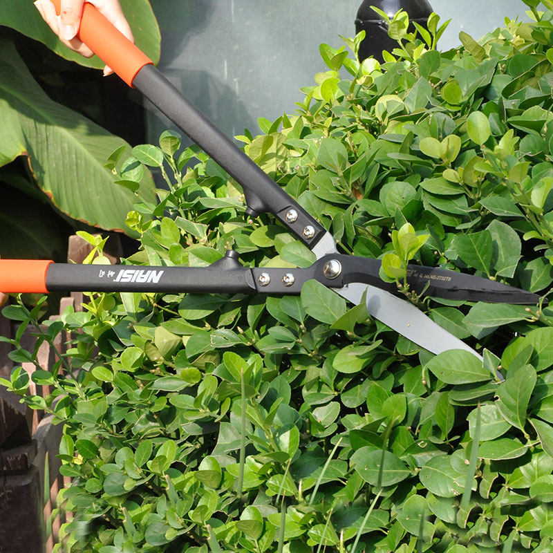 剪绿园林绿化手动修剪工具工具家家用园艺篱笆篱剪剪刀