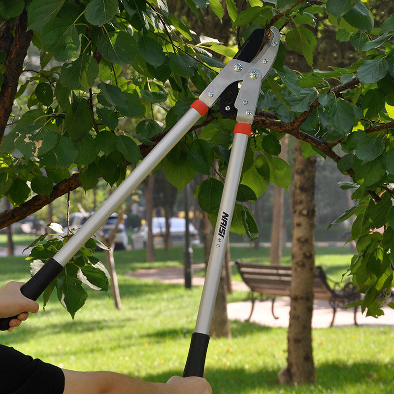 家用果树粗枝剪修剪树枝剪园艺园林市政绿化剪省力可伸缩高枝剪刀