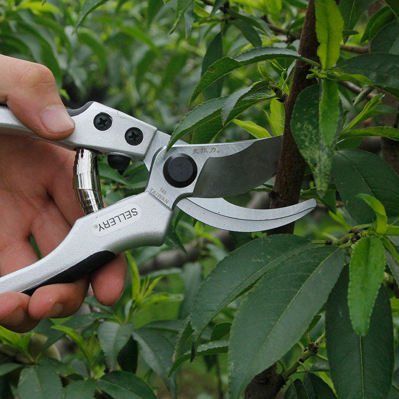 进口史拉力果树枝剪修枝剪刀手动修剪盆栽绿植剪树枝省力园艺剪花